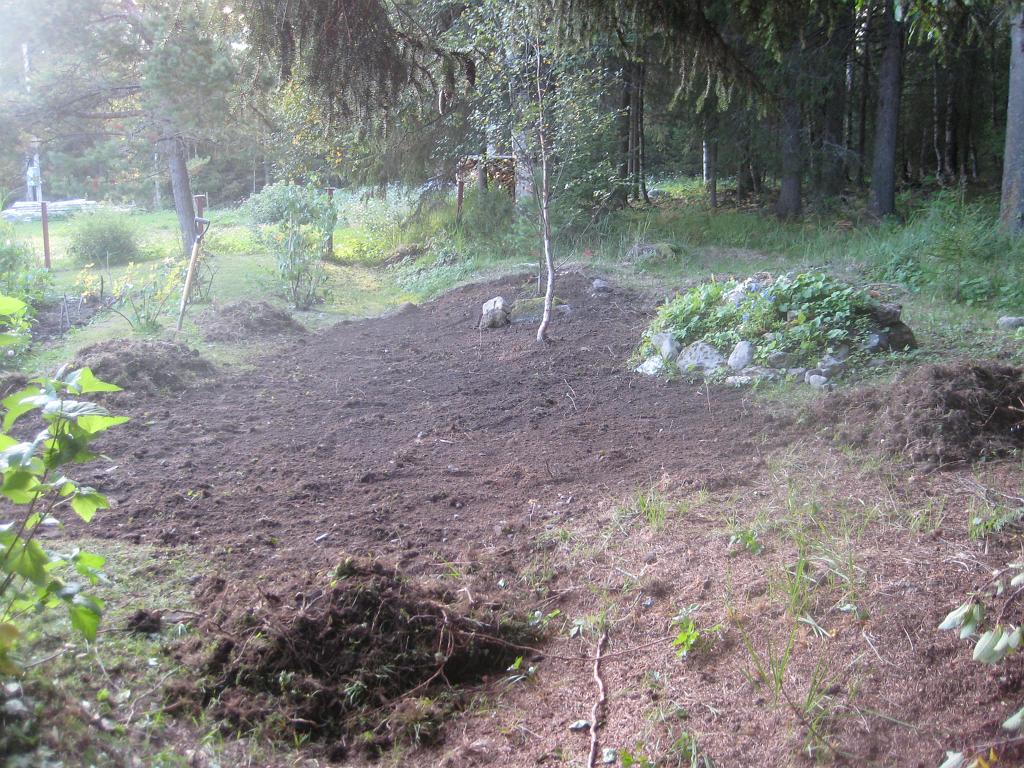 IX70_1655.JPG - Planeringsjobb pågår. Håller på och rätar ut kanten mot skogsmarken. Det har varit knepigt att köra Slåttermaskinen men nu kanske det blir bättre nästa år