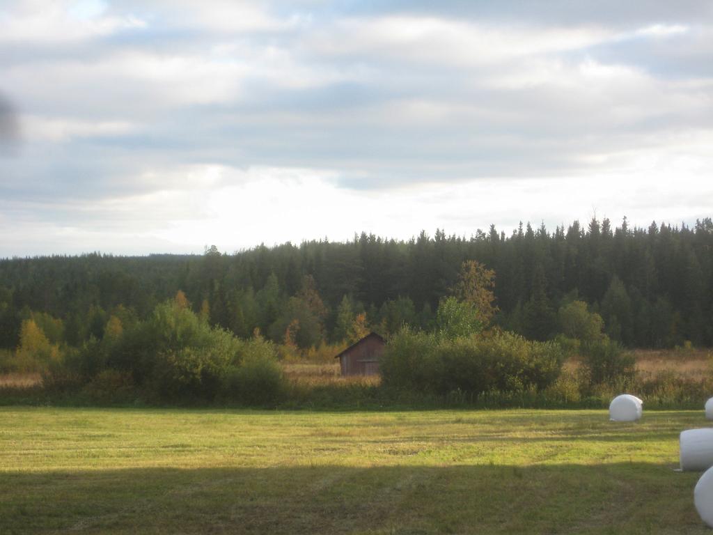 IX70_1660.JPG - 2008-09-12  Nu har man tagit reda på grönfodret och paketerat det fin på åkern. Det börjar bli mer färger nu i träd och buskar.