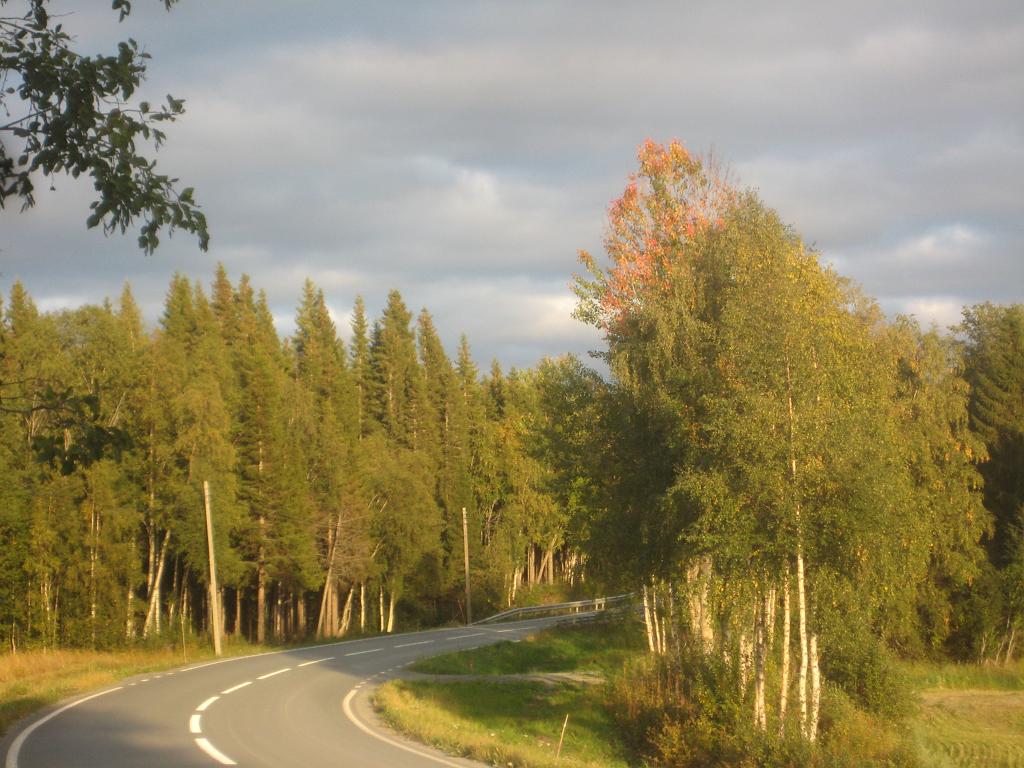 IX70_1662.JPG - Det börjar skifta färg i asparna också