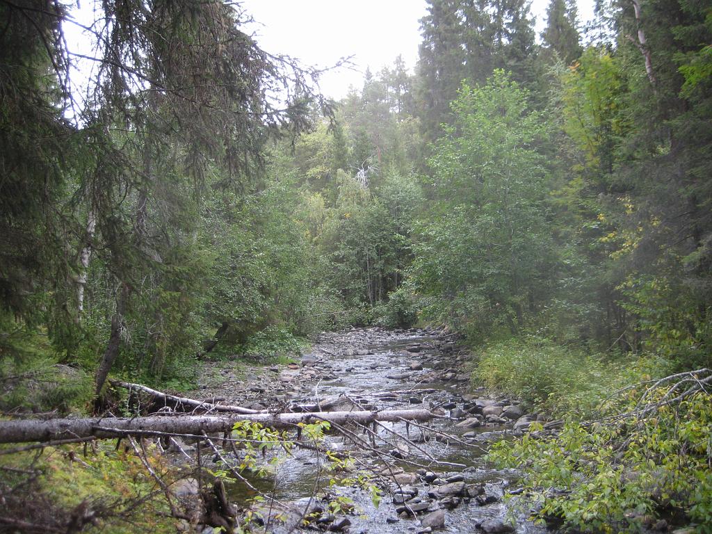 IX70_1671.JPG - The creek. Här ser man hur lite vatten det är.