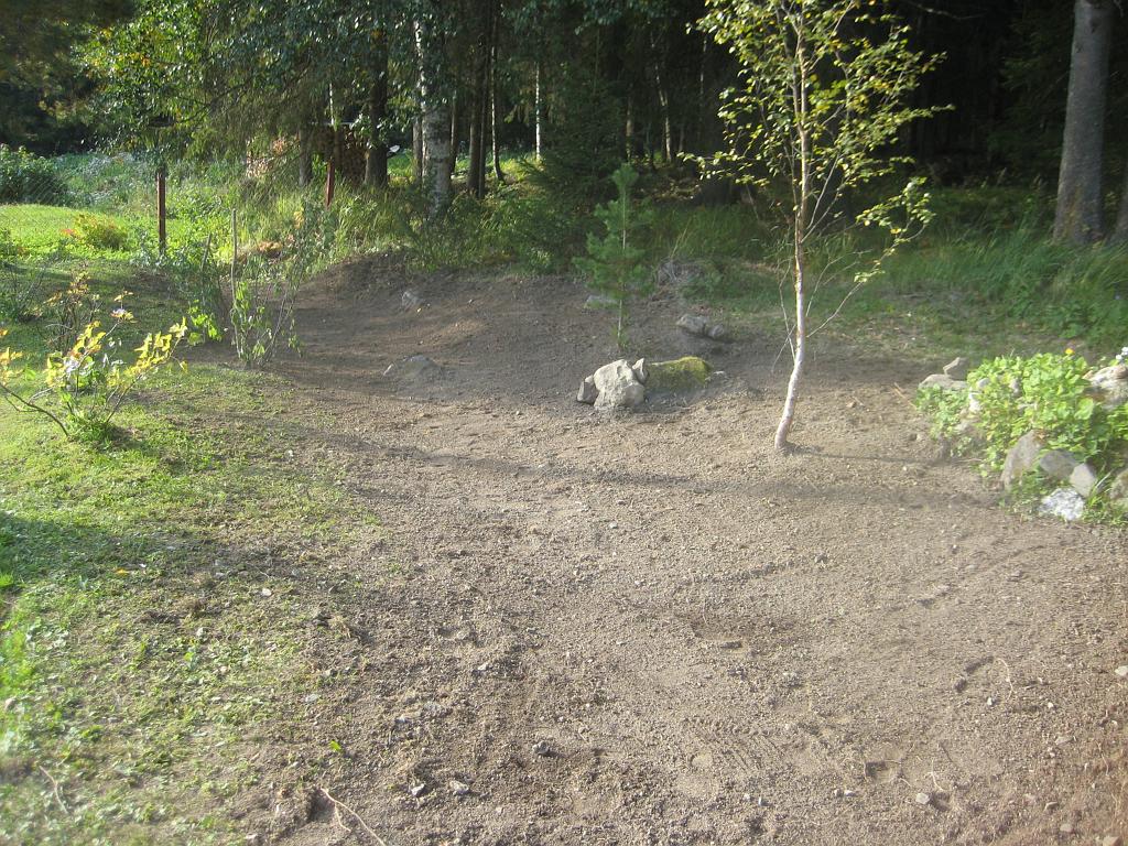 IX70_1674.JPG - Jobbat en del med att planera till mellan trädgårdslandet och skogen