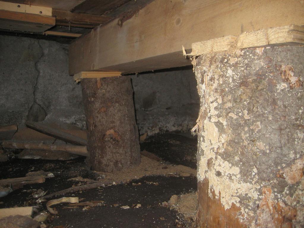 IX70_1688.JPG - Bärlina mitt under huset (västra delen) Denna står på kubbar vilka sedan står på sten. Inte helt kruttort, men heller inte fuktigt.