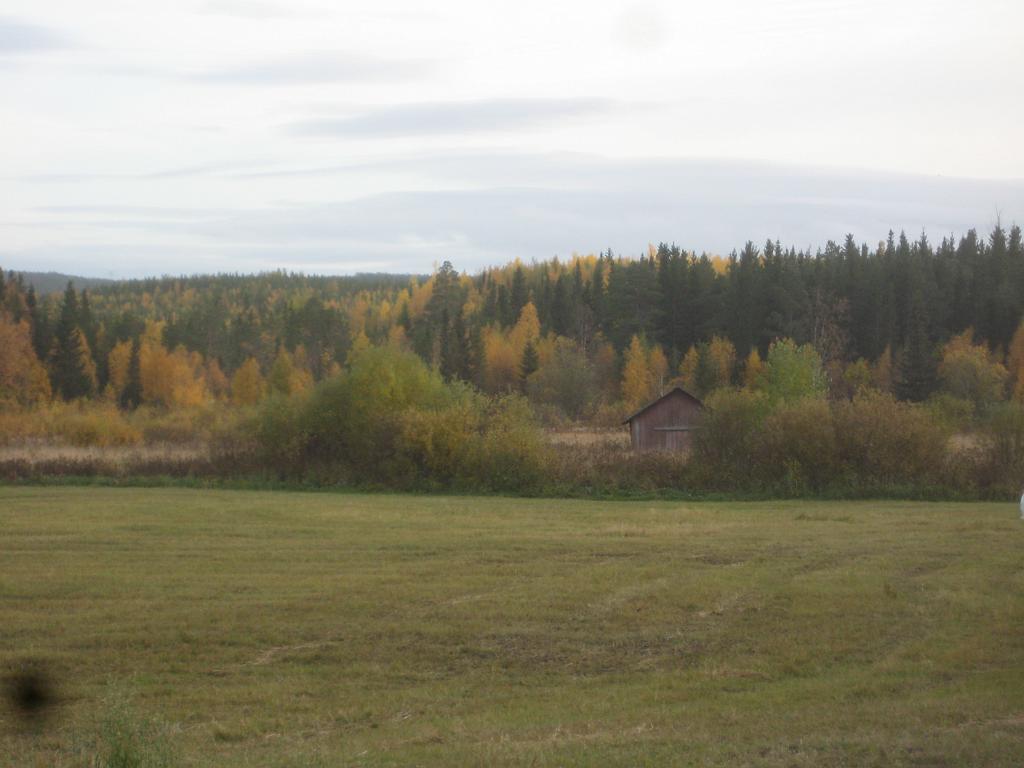IX70_1790.JPG - 2008-09-26  Nu har hösten kommit långt