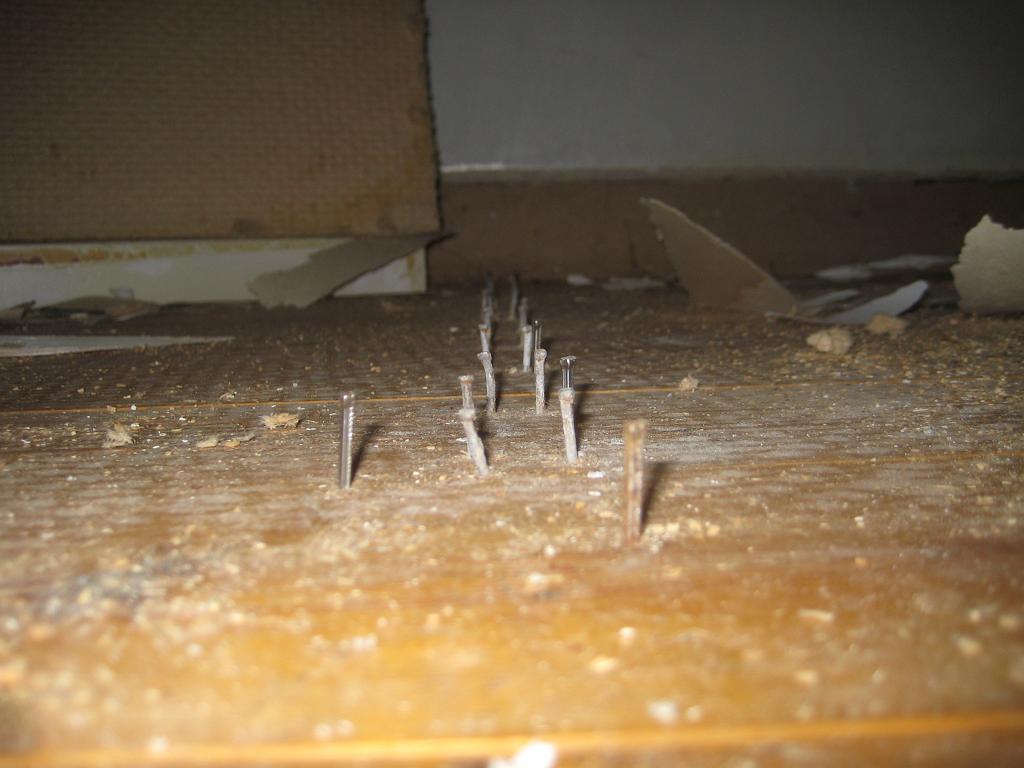 IX70_1800.JPG - Spikskog som hållit tretex och masonit på plats.