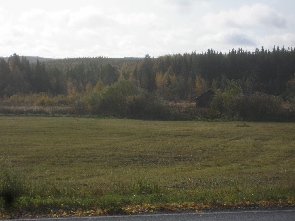 IX70_1807.JPG - 2008-09-28 Nu är det höst och även färgerna har nu snart försvunnit, fast det är lite gröna buskar hitom ladan ännu.