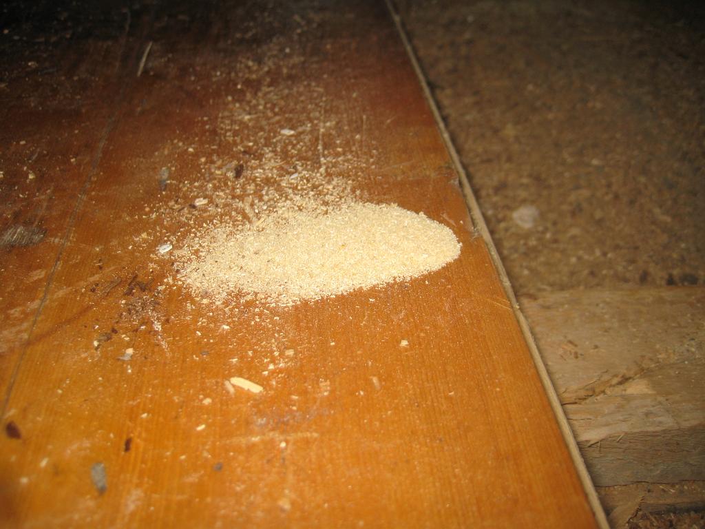 IX70_1808.JPG - Färsk sågspån. Kapade en av golvplanken och då skapades denna lilla sågspånshög.. Gammal sågspån i bakgrunden.