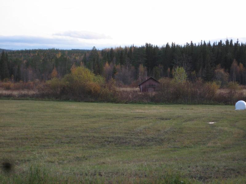 IX70_1874.JPG - Blåsten under förmiddagen har tagit med sig en del löv som var kvar