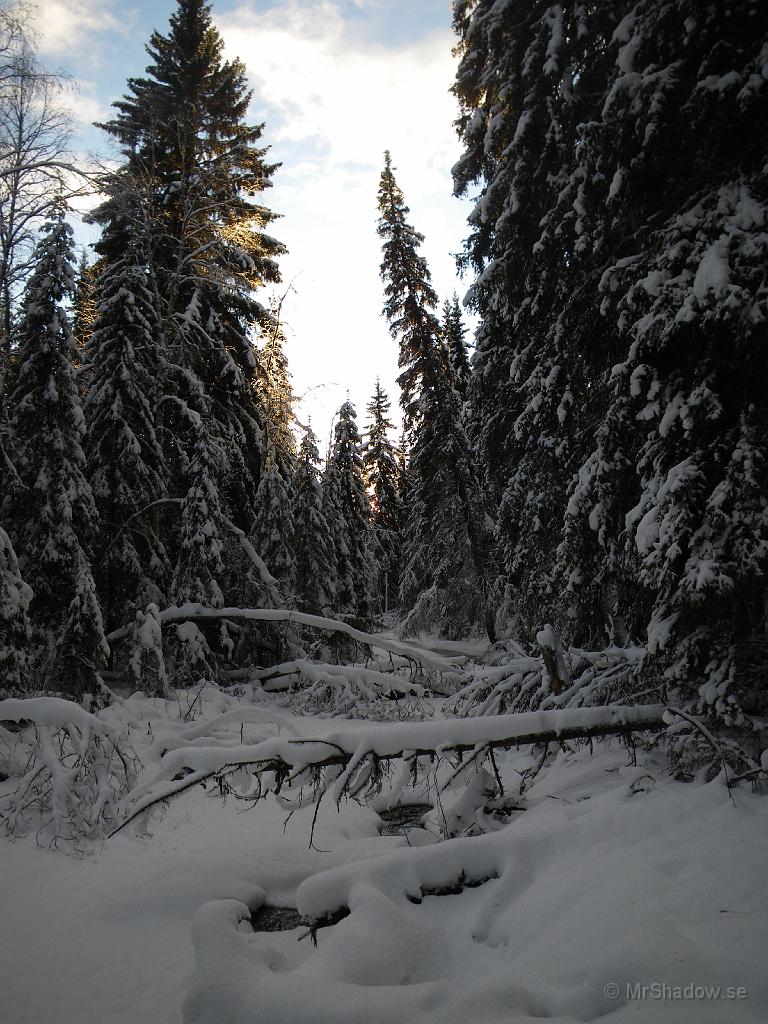 IMGP0015.jpg - Nu är det riktig vinter vid ån