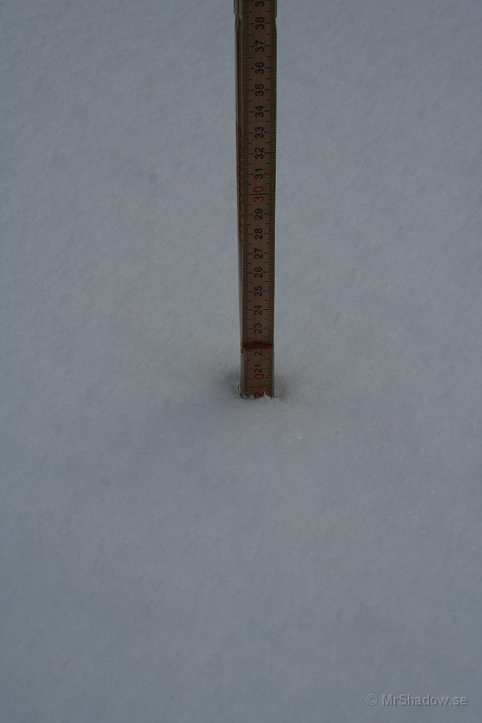 IMG_4076.JPG - Snödjup mätning 2. Konstaterar att det är i det närmaste 20 cm nysnö