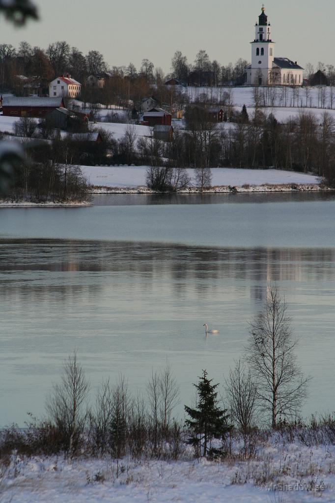 IMG_4087.JPG - Snart fryser nog svanan fast, det ser ut som att Alsesjön håller på att frysa till