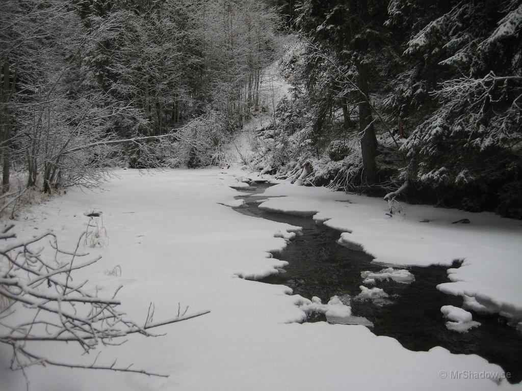 IX70_2055.JPG - Upp mot "The Creek" är det fortfarande ett öppet stråk