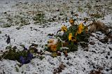 IMG_4060