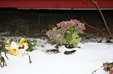 IMG_4062