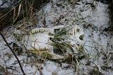 IMG_4073