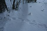 IMG_4079