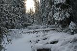 IMG_4081