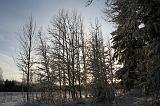 IMG_4084