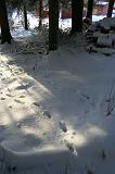 IMG_4085