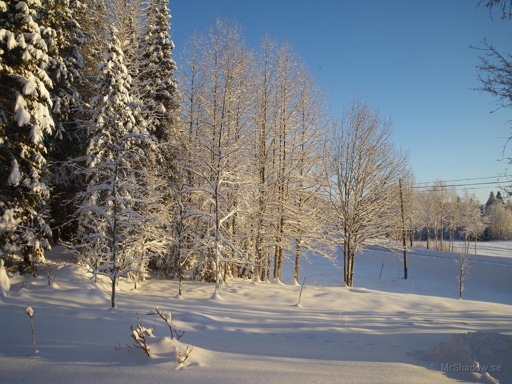 IMGP0051.JPG - 2008-12-05  Här är det vackert istället.  Klockan är ungefär 12 och ute är den nog -12. Tagit kortet genom köksfönstret men det märks ju inte.