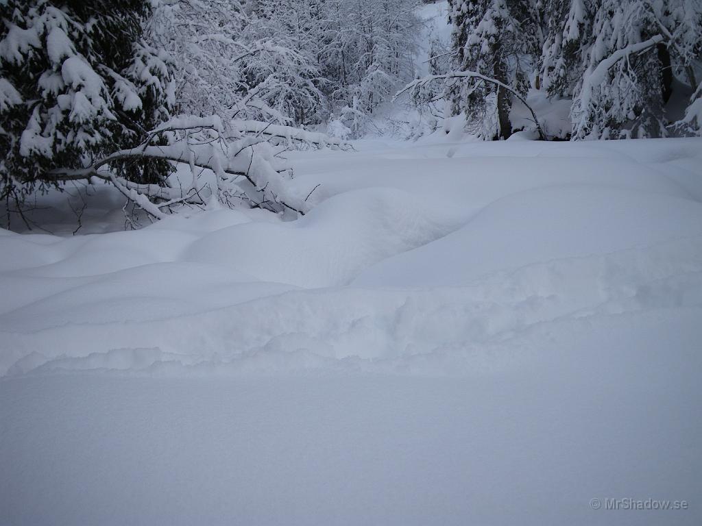 IMGP0056.JPG - Det ser ut att vara mycket snö på isen.. Fast kameran är bara ovanligt lågt placerad...