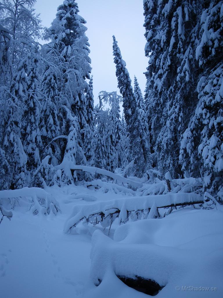 IMGP0087.jpg - Läskigt ljus fast det är mitt på dagen..