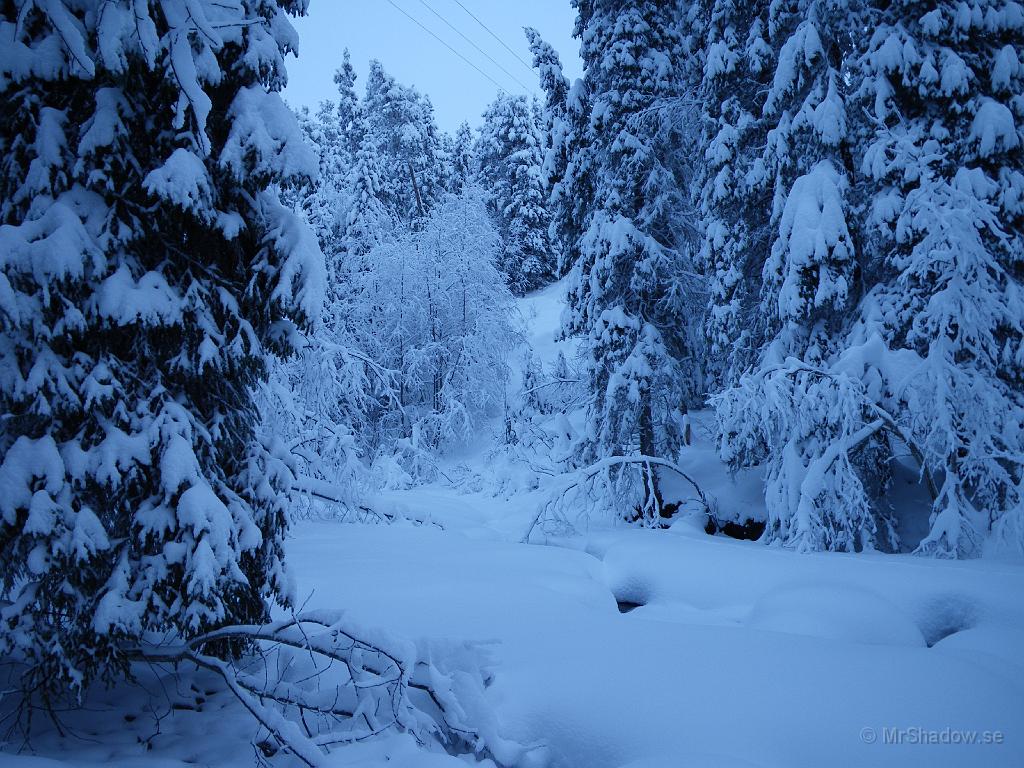 IMGP0089.JPG - Även om ljuset är besynerligt så är det vackert vid "The Creek"