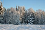 IMG_4098