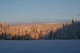 IMG_4100