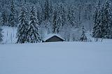 IMG_4104