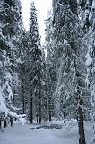 IMG_4109