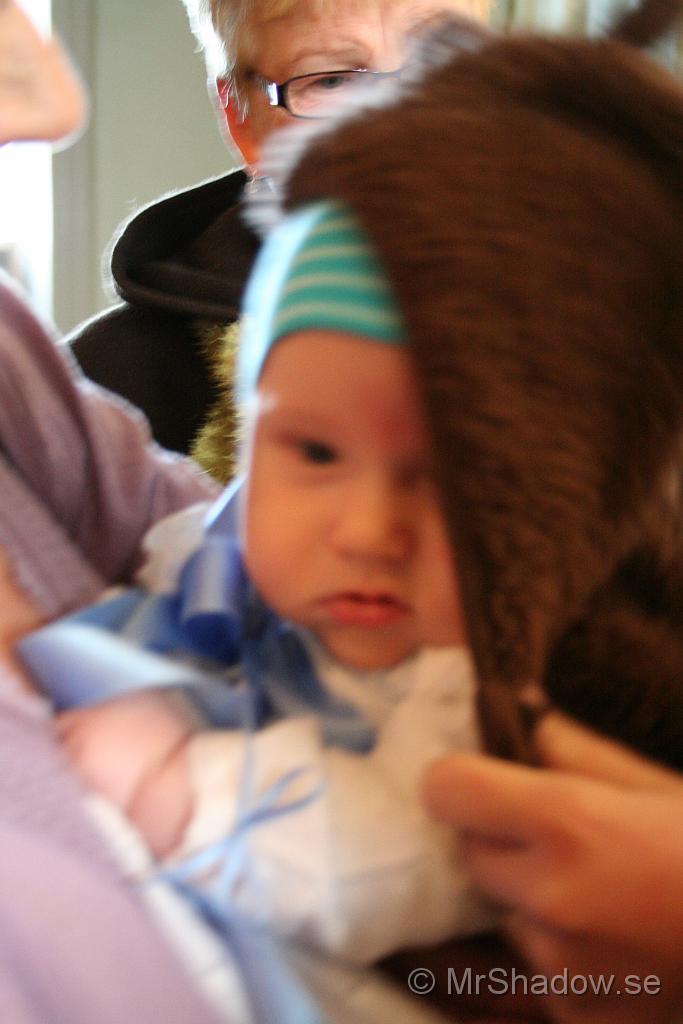 IMG_0648.JPG