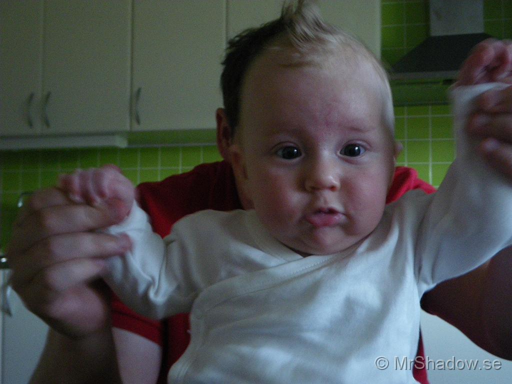 IMGP4483.JPG