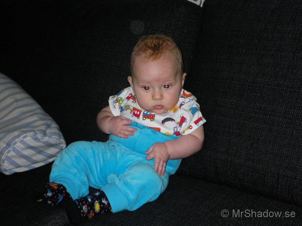 IMGP4663.JPG