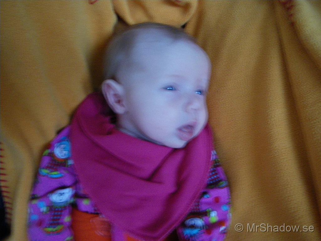 IMGP5019.JPG