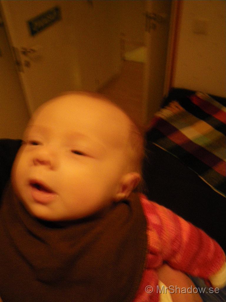 IMGP5039.JPG