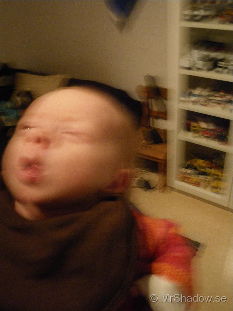IMGP5042.JPG