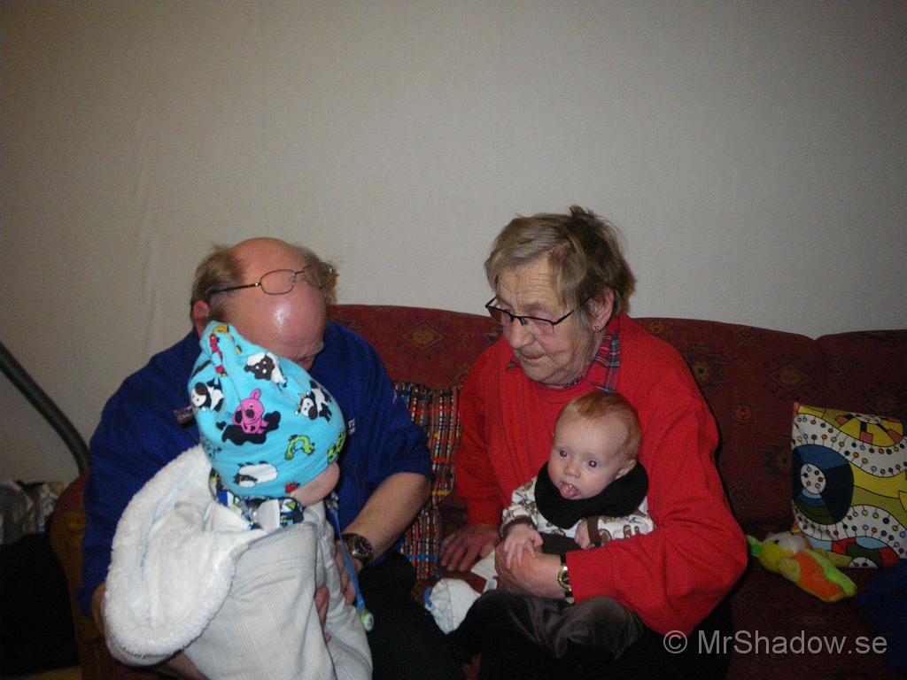IMGP5391.JPG