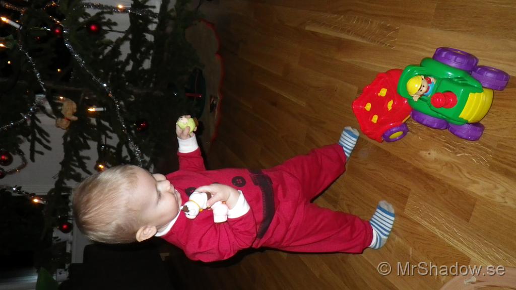 IMGP0044.JPG
