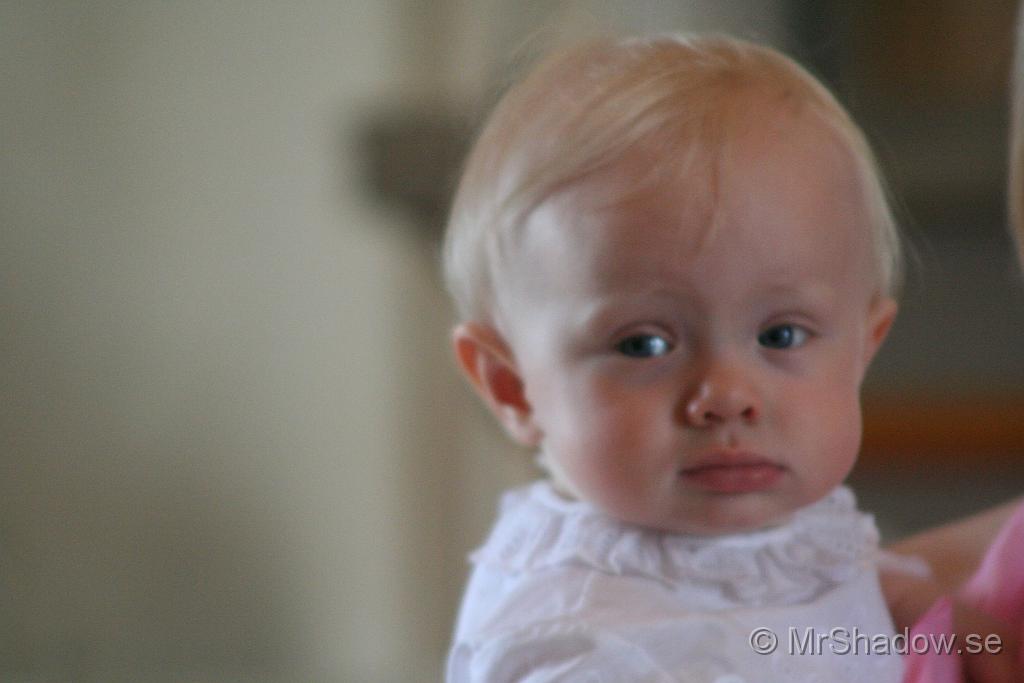 IMG_2864.JPG