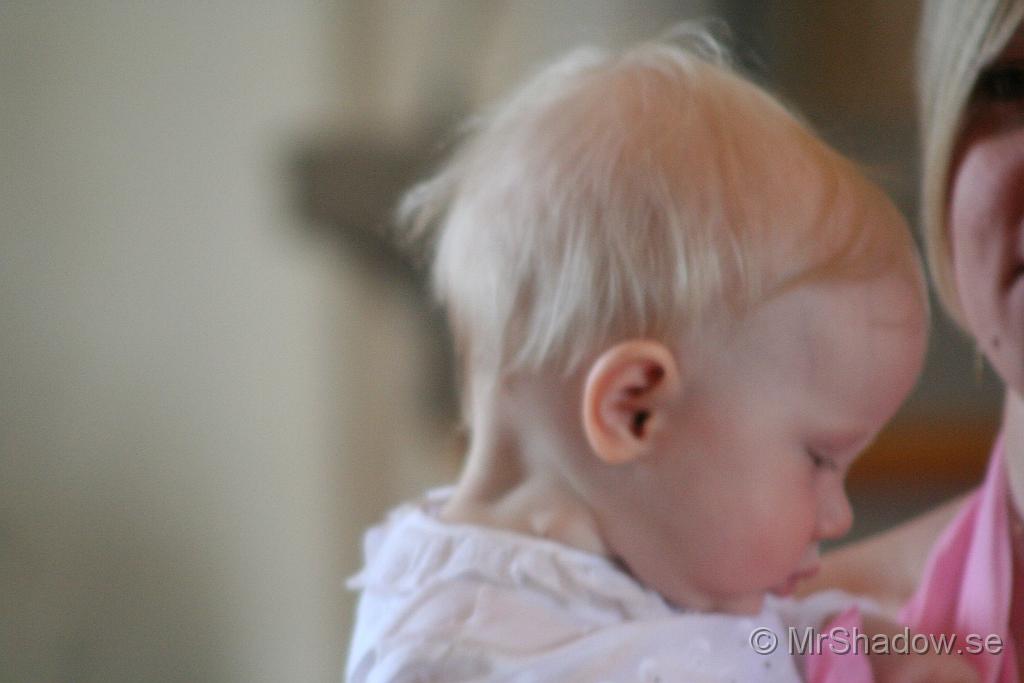 IMG_2865.JPG