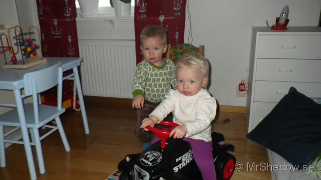 IMGP0016.JPG