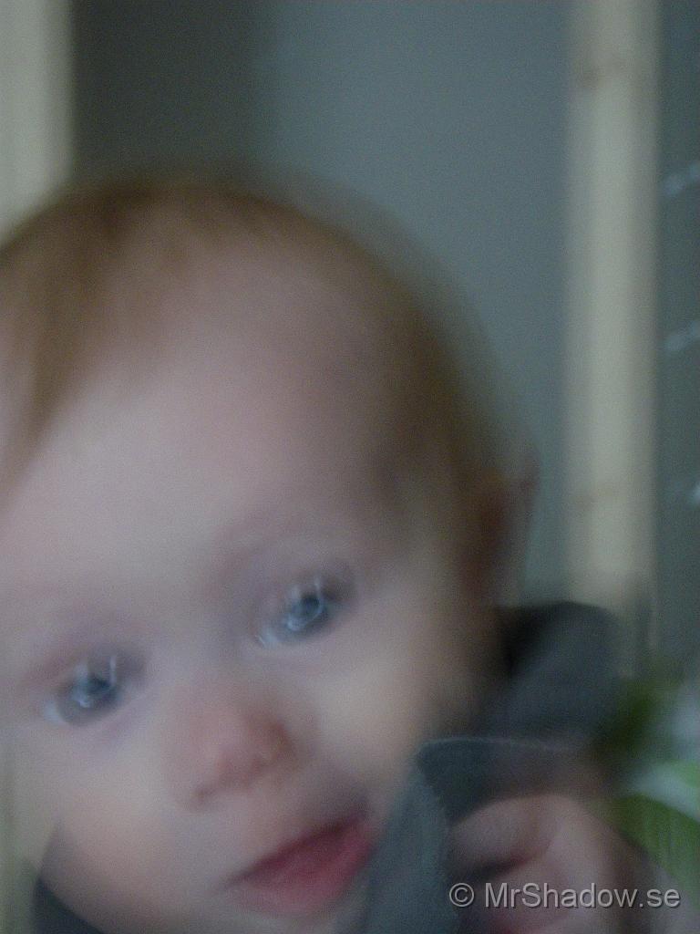 IMGP5586.jpg