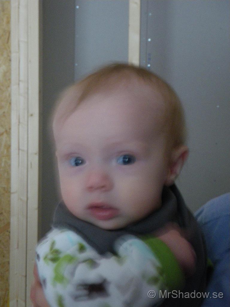 IMGP5590.jpg