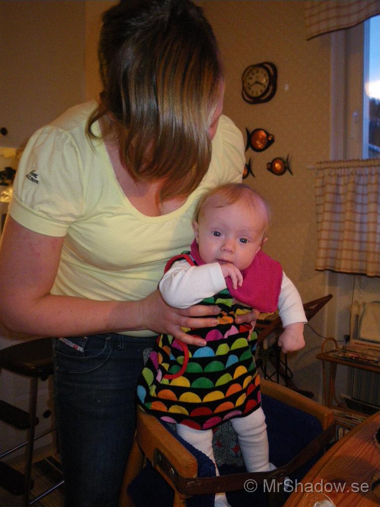 IMGP5596.jpg