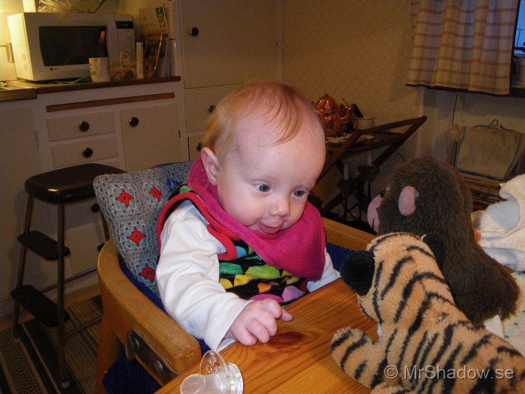 IMGP5597.JPG