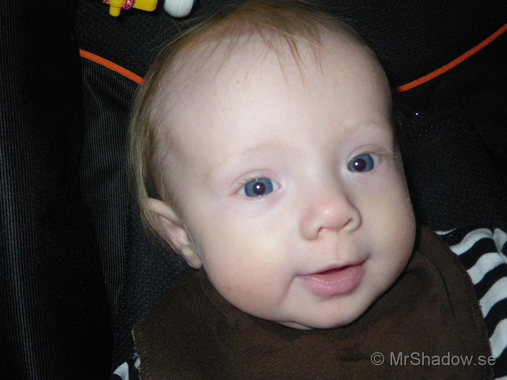 IMGP5629.JPG