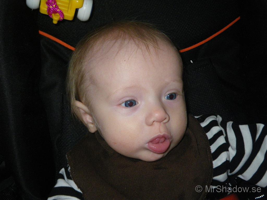 IMGP5630.JPG