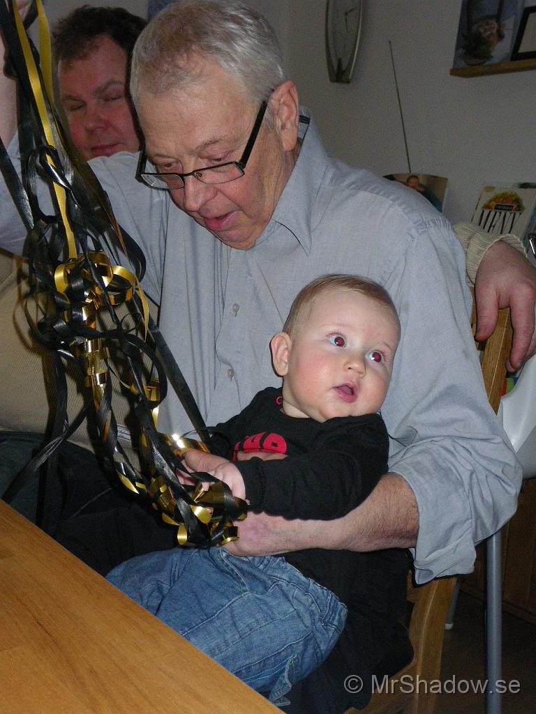 IMGP5651.jpg