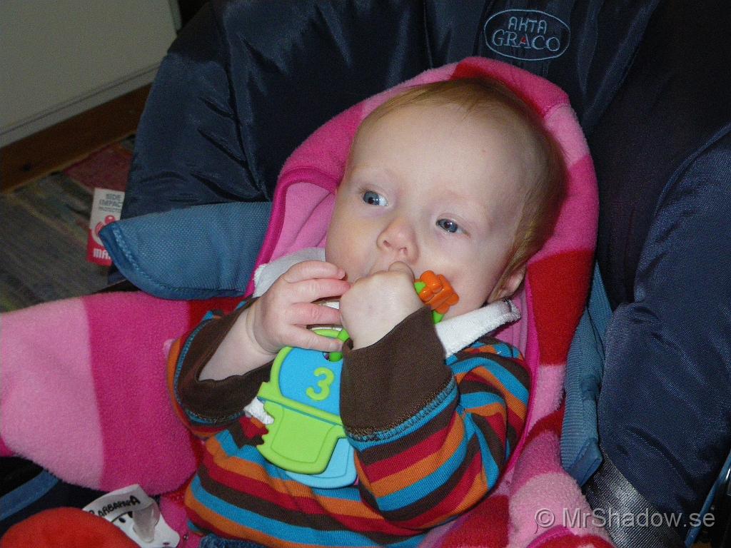 IMGP5672.JPG