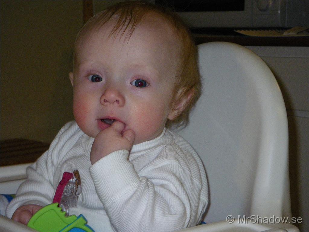 IMGP5705.JPG